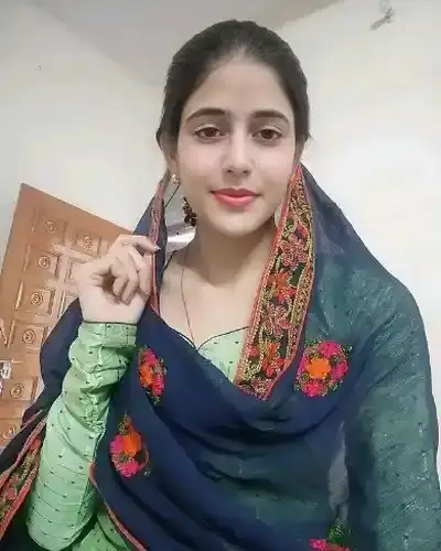 Call Girl Manish Nagar